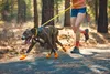 Ruffwear Summit Trex™ Hundeschuhe, Farbe:Sunrise Yellow, Produktbild-Vorschau 2