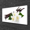Tulup Leinwand-Bilder 100x50 Wandbild Canvas Kunstdruck Produktbild-Vorschau 1