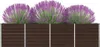 A raised garden bed filled with purple flowers and green foliage, set against a white background. Náhľad obrázku produktu