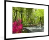 MuchoWow® Gerahmtes Poster New York - Central Park - Produktbild-Vorschau 1
