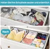 12 kusů organizéru do šatníku, skládací organizér do Náhled obrázku produktu 3