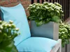 Kalanchoe | Weiß pro 6 Stück - Outdoor und Zimmerpflanzen Produktbild-Vorschau 2