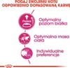 Royal Canin Exigent 42 Protein preference 400 g Produktbild-Vorschau 5