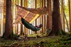 Amazonas Hängemattenwärmeschutz 'Underquilt' Produktbild-Vorschau 11