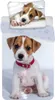 A bedding set featuring two images of a puppy. Podgląd zdjęcia produktu