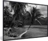 MuchoWow® MuchoWow® Gerahmtes Poster Palmen am Strand von Produktbild-Vorschau 1