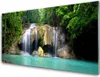 Acrylglasbilder 100x50 Wandbild Druck Wasserfall Baum Natur Produktbild-Vorschau 1