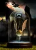 A golden snitch under a glass dome, with dark castles and flying figures in the background. Podgląd zdjęcia produktu