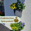 6er Set Fallrohr Blumentopf Fallrohr Blumentopf für Produktbild-Vorschau 6