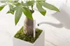 A white watering can is watering a small potted plant with a moisture meter inserted into the soil. Produktbild-Vorschau