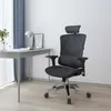 SIHOO krzesło biurowe ergonomiczne, lędźwiowe wysokie Podgląd zdjęcia produktu 9