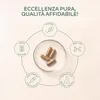 Aavalabs Ginkgo Biloba 50:1 | Ginseng & Bacopa | Gedächtnis Produktbild-Vorschau 18