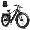 26 * 4,0 palce Fatbike, městské kolo 250W 70Nm elektrické Náhled obrázku produktu 1