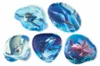 Ergobag Contour, zestaw "Kletties", wersja "Unterwasser" Podgląd zdjęcia produktu 2