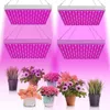 Set van 4 LED-plantlampen van 45W, met 144 rode en blauwe Productafbeelding-voorbeeld 1