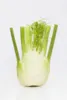 Foeniculum vulgare, Fenchel, aromatisch, ca. 11x11 cm Topf Produktbild-Vorschau 13