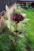 Rose Stehend Blume Metall Corten Garten Dekoration Produktbild-Vorschau 2