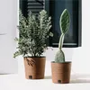 Two potted plants, a leafy shrub and a cactus, are placed on a white surface in front of a dark-shuttered window. Náhled obrázku produktu