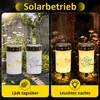 Solar-Grablichter 2er Set mit Erdspieß, wasserdichte Produktbild-Vorschau 5
