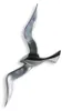 GILDE  Wandobjekt Flying Bird poliert H. 48 cm,32728 Produktbild-Vorschau 1