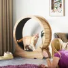 Mondeer Jouet intelligent pour animaux Tapis roulant pour Voir les images du produit 5