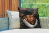 MuchoWow® Outdoor Kissen - Wilhelm von Oranien - Kunst - Produktbild-Vorschau 3