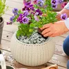 BELLE VOUS dekorative Natursteine -Kleine graue Steine zum Produktbild-Vorschau 5