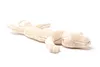A plush toy salamander lying on a white background. Anteprima dell’immagine prodotto