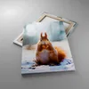 Bild auf Leinwand - Leinwandbild - Einteilig - Eichhörnchen Produktbild-Vorschau 2