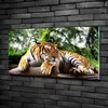 Tulup® Glas-Bild - 100x50 -Wandkunst - Wandbild hinter Produktbild-Vorschau 2