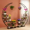 DanDiBo Scaffale per fiori da interno 170 cm di altezza Anteprima dell’immagine prodotto 10