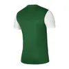 Nike DH8035-302 DF Tiempo PREM II Sweatshirt Men's Pine Produktbild-Vorschau 6