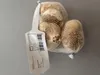 Winter-Pflanzknoblauch (Steckknoblauch) (3 Stück) | Produktbild-Vorschau 5