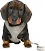Trixie Junior Welpen-Softgeschirr mit Leine hellgrau, Produktbild-Vorschau 2