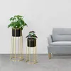 Two plant stands with plants on a gray floor next to a gray sofa. Produktbild-Vorschau