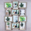 A collage of 12 framed photos of houseplants and decorative items, arranged on a textured gray background. Produktbild-Vorschau