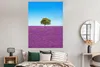MuchoWow® Poster Baum - Lila - Himmel - Lavendel 120x160 cm Produktbild-Vorschau 4