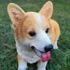 Prodex Welsh Corgi hond, 30 x 26 cm, Polyston, modelnummer Productafbeelding-voorbeeld 2