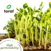 Toraf semená zeleniny XXL set 3000 semien 7 druhov mrkva Náhľad obrázku produktu 3
