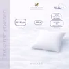 HANSKRUCHEN cuscino in piuma Wolke 7 Soft Supporting 80x80 Anteprima dell’immagine prodotto 8