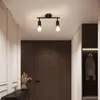 A hallway with a dark wood door and a black ceiling light fixture with two exposed bulbs. Náhľad obrázku produktu