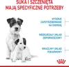 Royal Canin Mini Starter Mother & Babydog 8kg Karma Sucha Podgląd zdjęcia produktu 17
