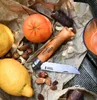 OPINEL Nože MP194266 Náhľad obrázku produktu 10