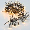 A cluster of warm white LED string lights on a white background. Produktbild-Vorschau