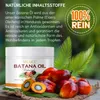 Huile Batana pour la croissance des cheveux Soin capillaire Voir les images du produit 2