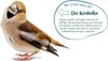 Elles Wildvogelmix Eimer 3kg Vogelfutter Wildvögel Ganzjahresfutter 4251871686404 361072 398640 Produktbild-Vorschau