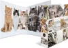 Herma 7166 Teczka Motif cats A4 70 mm(S) Podgląd zdjęcia produktu 2