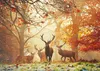 Heye Puzzle Stags, 1000 kusov, Zvieratá Náhľad obrázku produktu 2