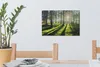 MuchoWow® - Leinwandbilder - Bäume - Natur - Wald, Produktbild-Vorschau 6