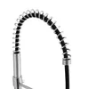 A close-up of a kitchen faucet's flexible hose with a coiled spring. Produktbild-Vorschau